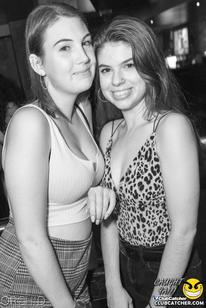Orchid nightclub photo 29 - September 6th, 2019