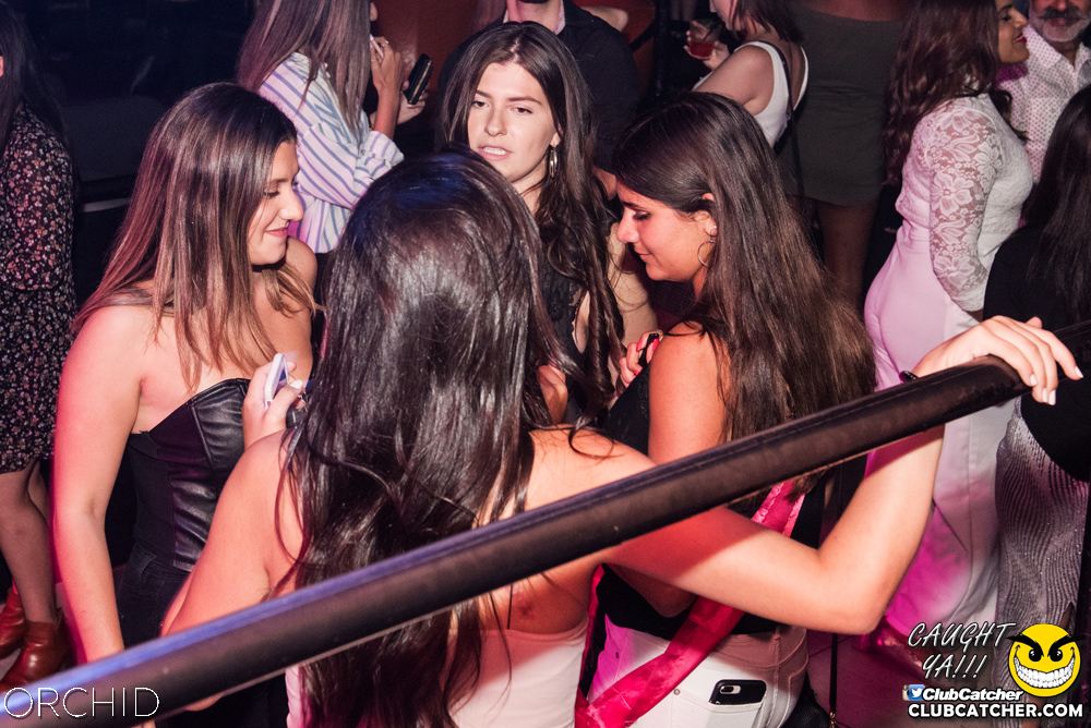 Orchid nightclub photo 33 - September 6th, 2019