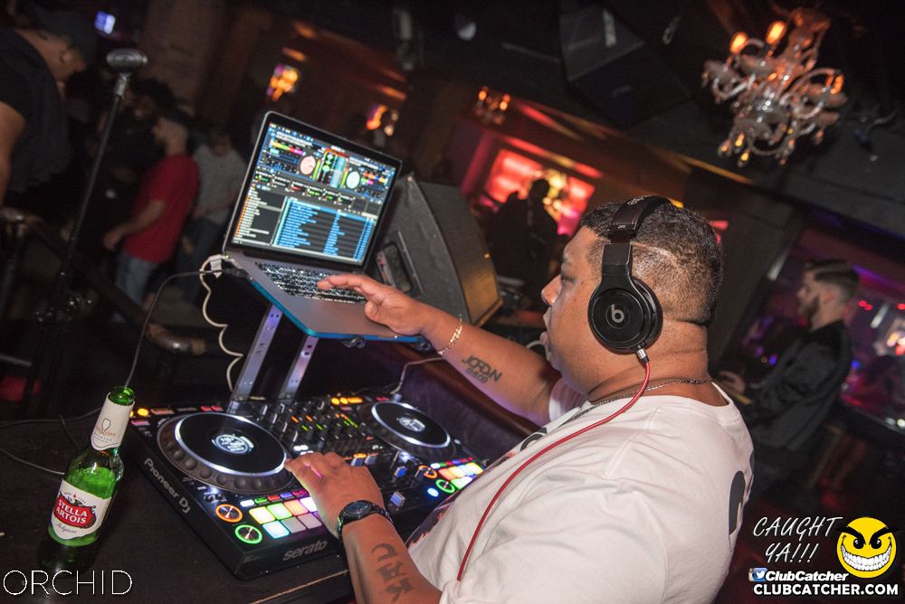Orchid nightclub photo 34 - September 6th, 2019