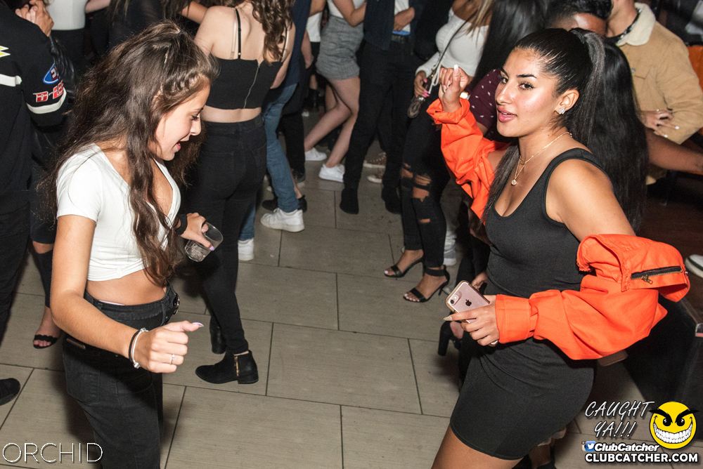 Orchid nightclub photo 36 - September 6th, 2019