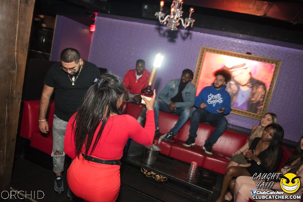 Orchid nightclub photo 37 - September 6th, 2019