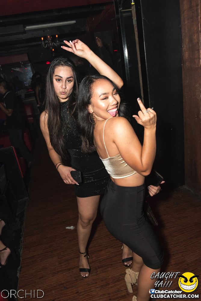 Orchid nightclub photo 38 - September 6th, 2019