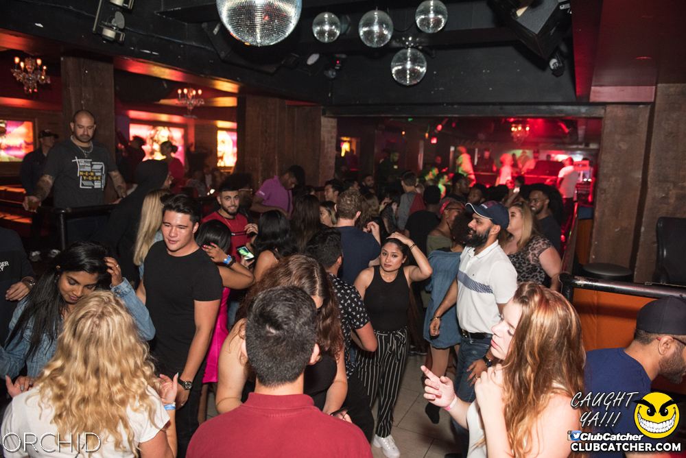 Orchid nightclub photo 41 - September 6th, 2019