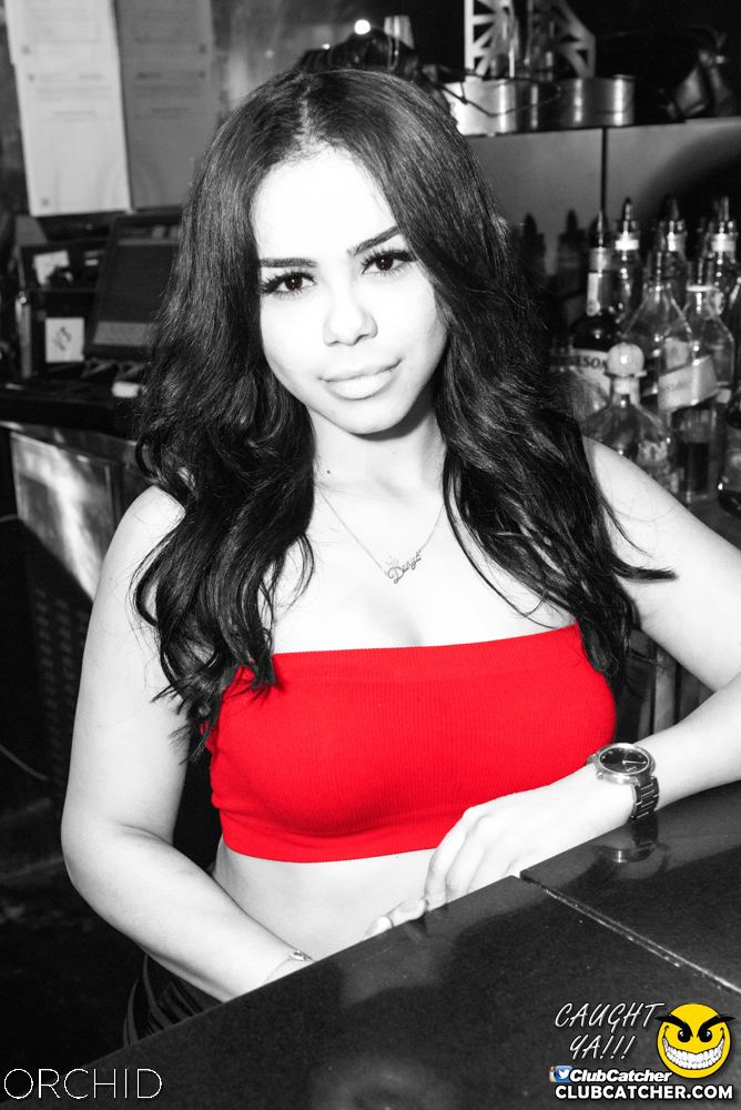Orchid nightclub photo 45 - September 6th, 2019