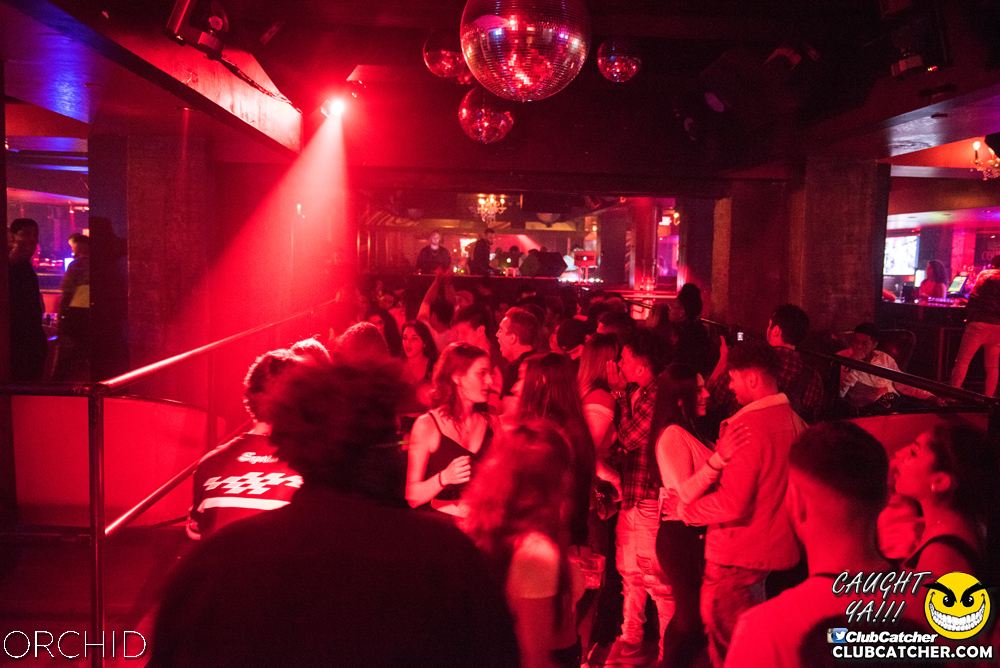 Orchid nightclub photo 50 - September 6th, 2019