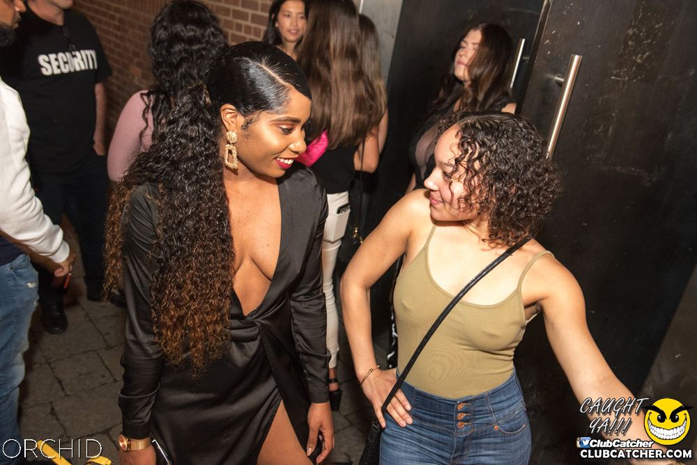 Orchid nightclub photo 6 - September 6th, 2019