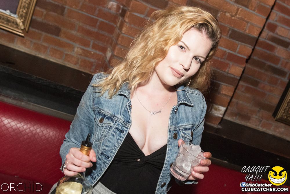 Orchid nightclub photo 53 - September 6th, 2019