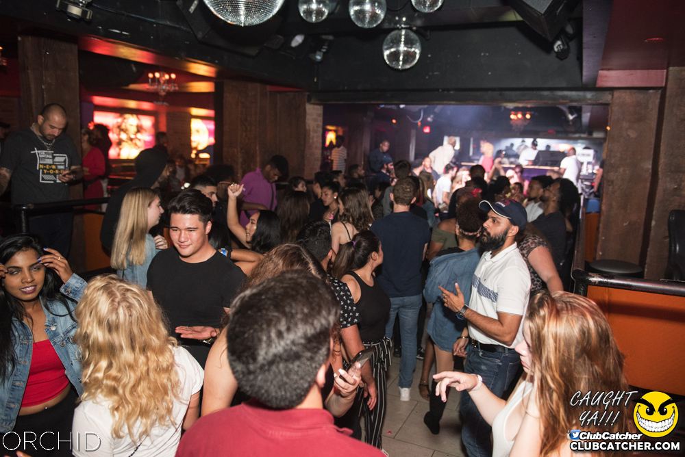Orchid nightclub photo 59 - September 6th, 2019