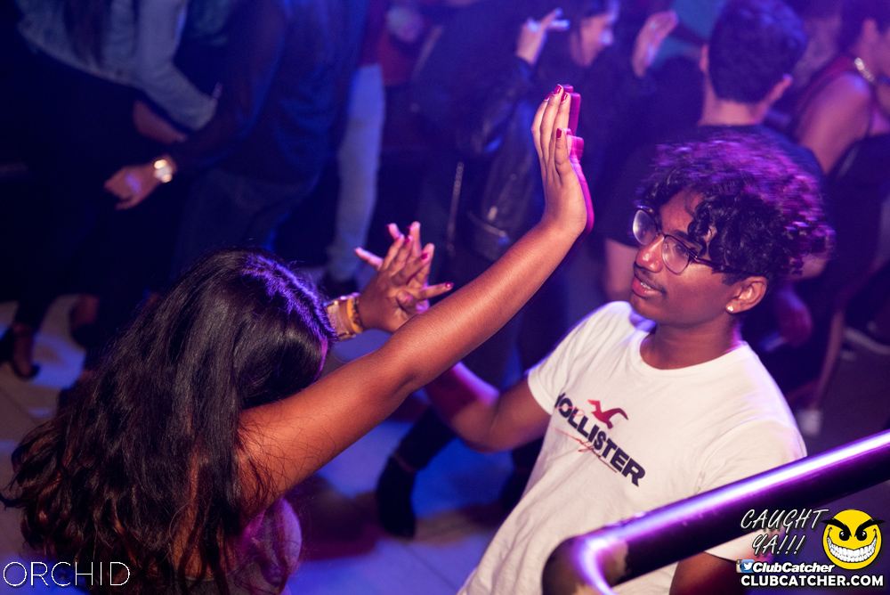 Orchid nightclub photo 7 - September 6th, 2019