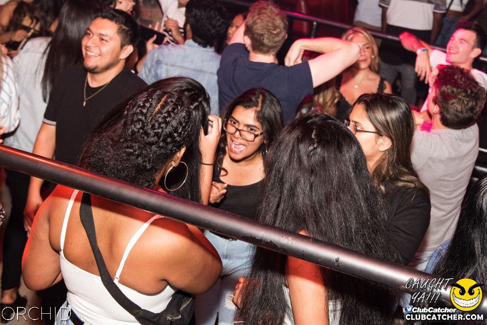 Orchid nightclub photo 63 - September 6th, 2019