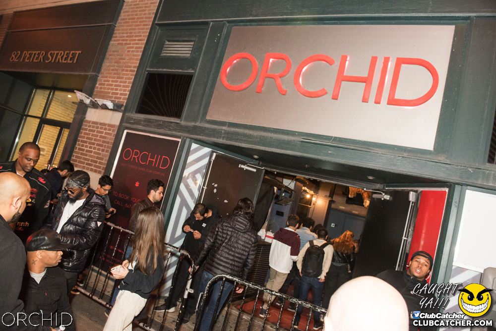 Orchid nightclub photo 65 - September 6th, 2019
