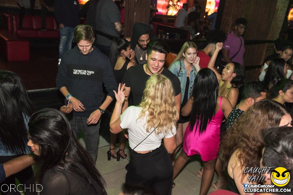 Orchid nightclub photo 67 - September 6th, 2019