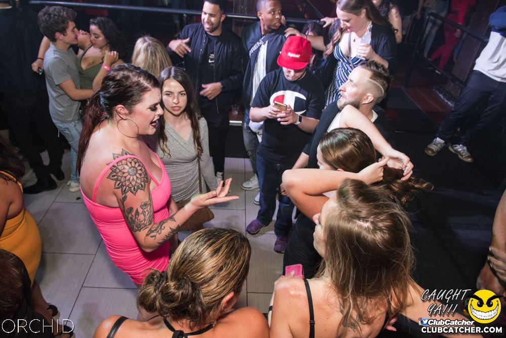 Orchid nightclub photo 68 - September 6th, 2019