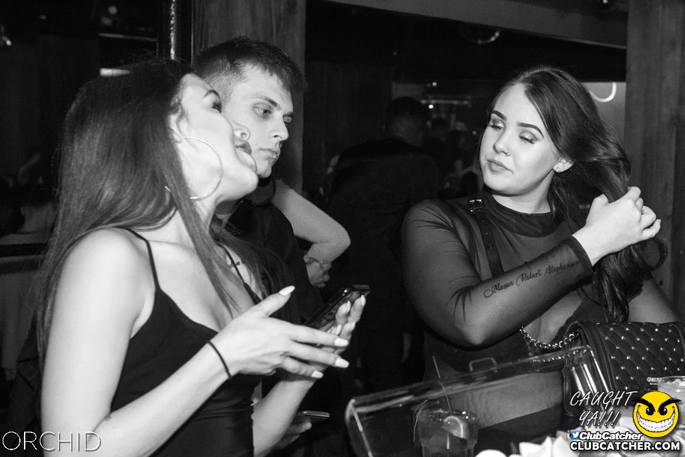 Orchid nightclub photo 70 - September 6th, 2019