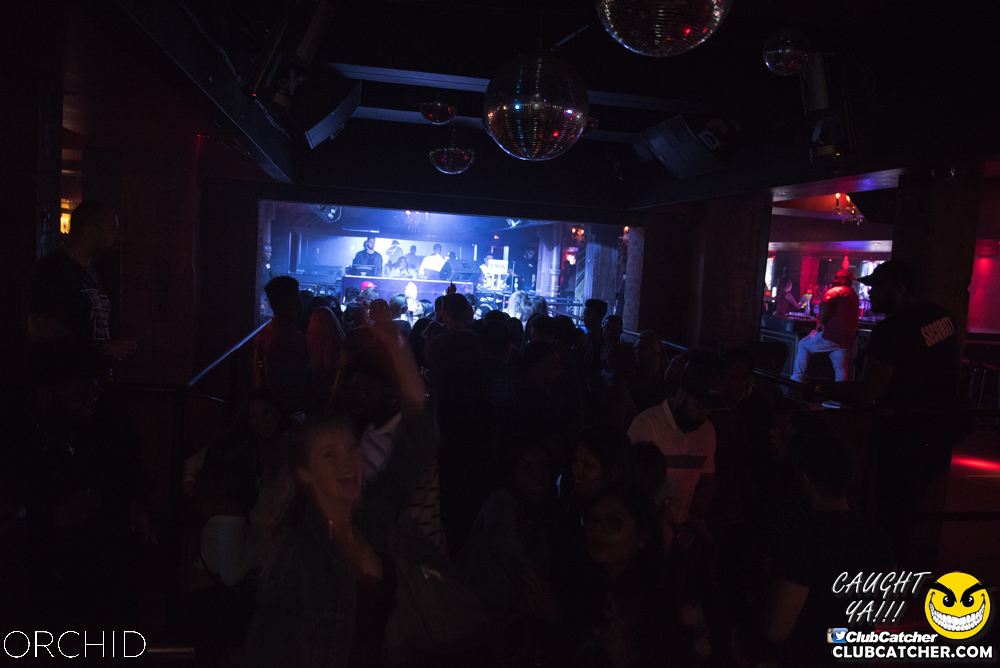 Orchid nightclub photo 71 - September 6th, 2019