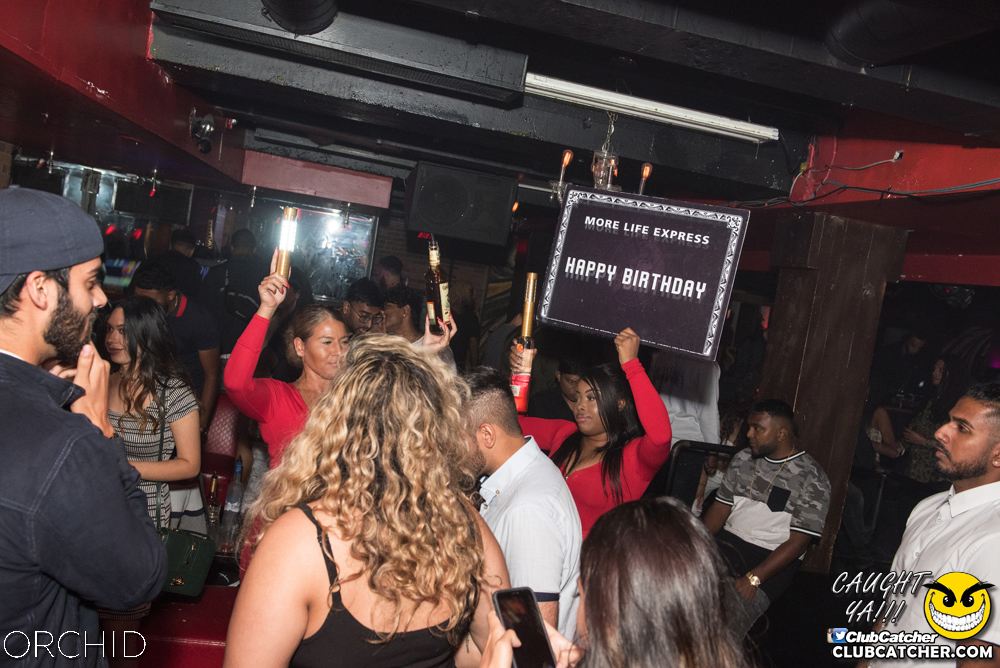 Orchid nightclub photo 77 - September 6th, 2019