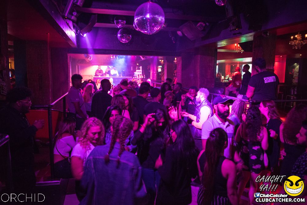 Orchid nightclub photo 95 - September 6th, 2019