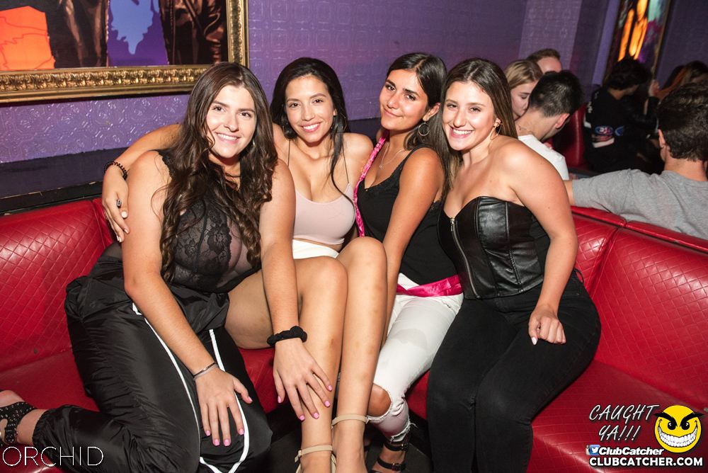 Orchid nightclub photo 97 - September 6th, 2019