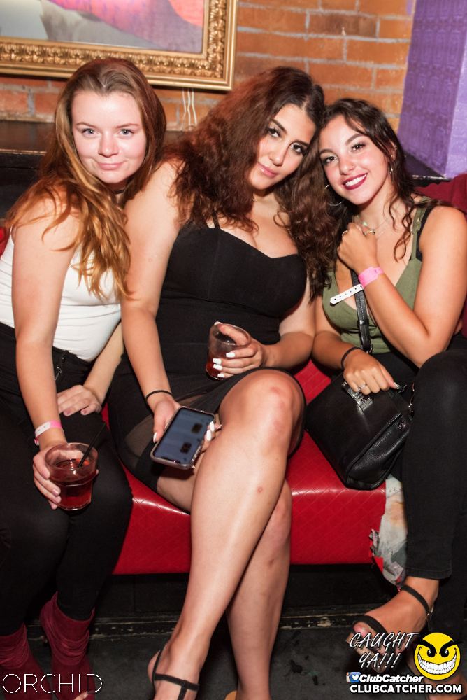 Orchid nightclub photo 98 - September 6th, 2019
