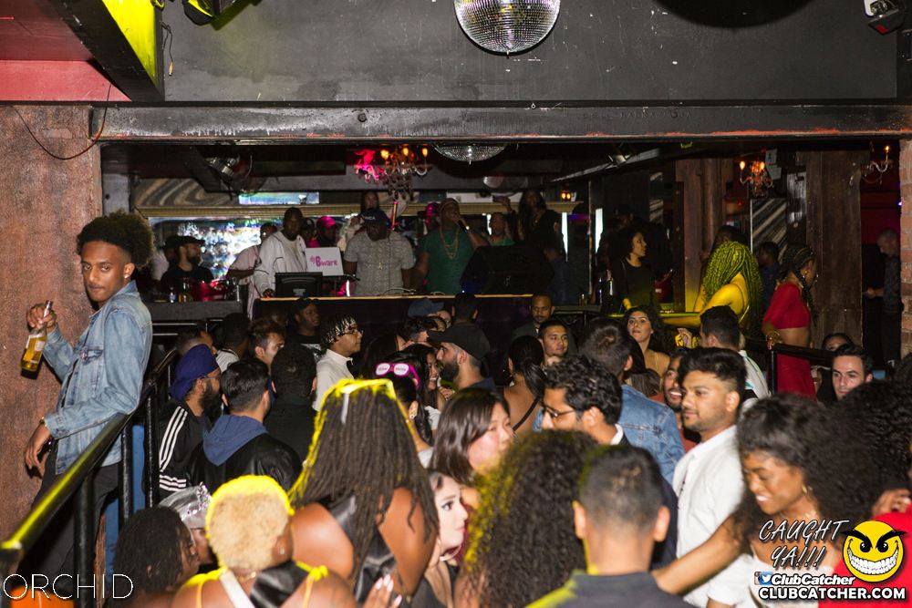 Orchid nightclub photo 1 - September 7th, 2019