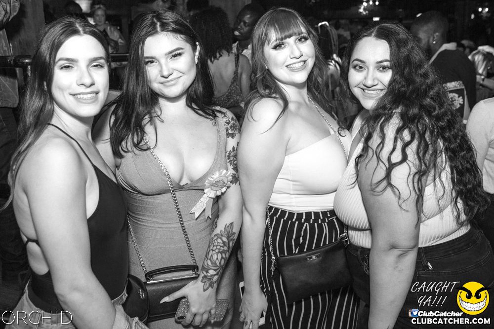 Orchid nightclub photo 102 - September 7th, 2019