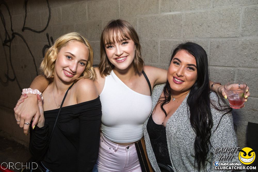 Orchid nightclub photo 108 - September 7th, 2019