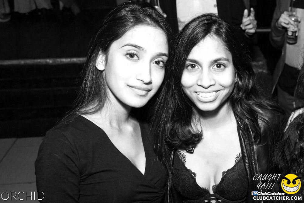 Orchid nightclub photo 109 - September 7th, 2019