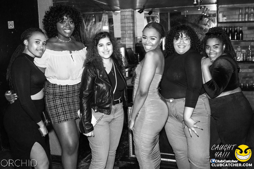 Orchid nightclub photo 111 - September 7th, 2019
