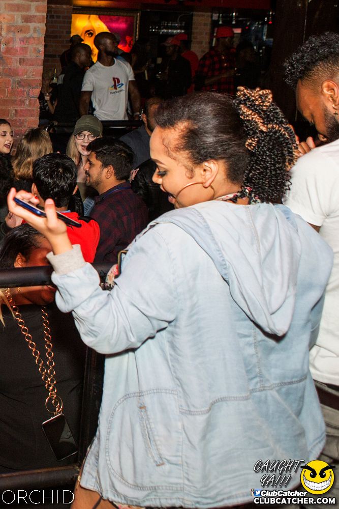 Orchid nightclub photo 113 - September 7th, 2019