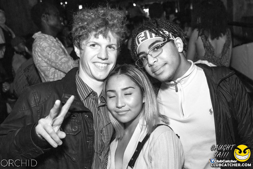 Orchid nightclub photo 114 - September 7th, 2019