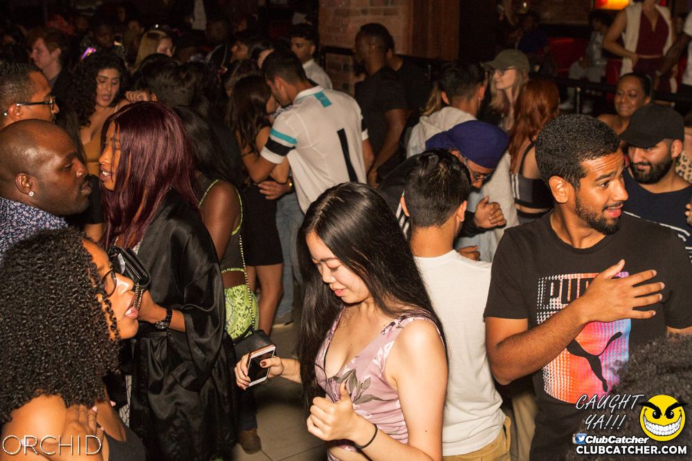 Orchid nightclub photo 117 - September 7th, 2019