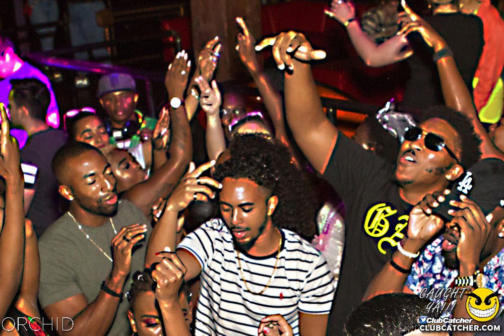 Orchid nightclub photo 118 - September 7th, 2019