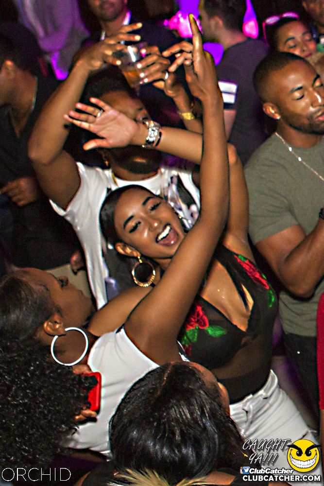 Orchid nightclub photo 119 - September 7th, 2019
