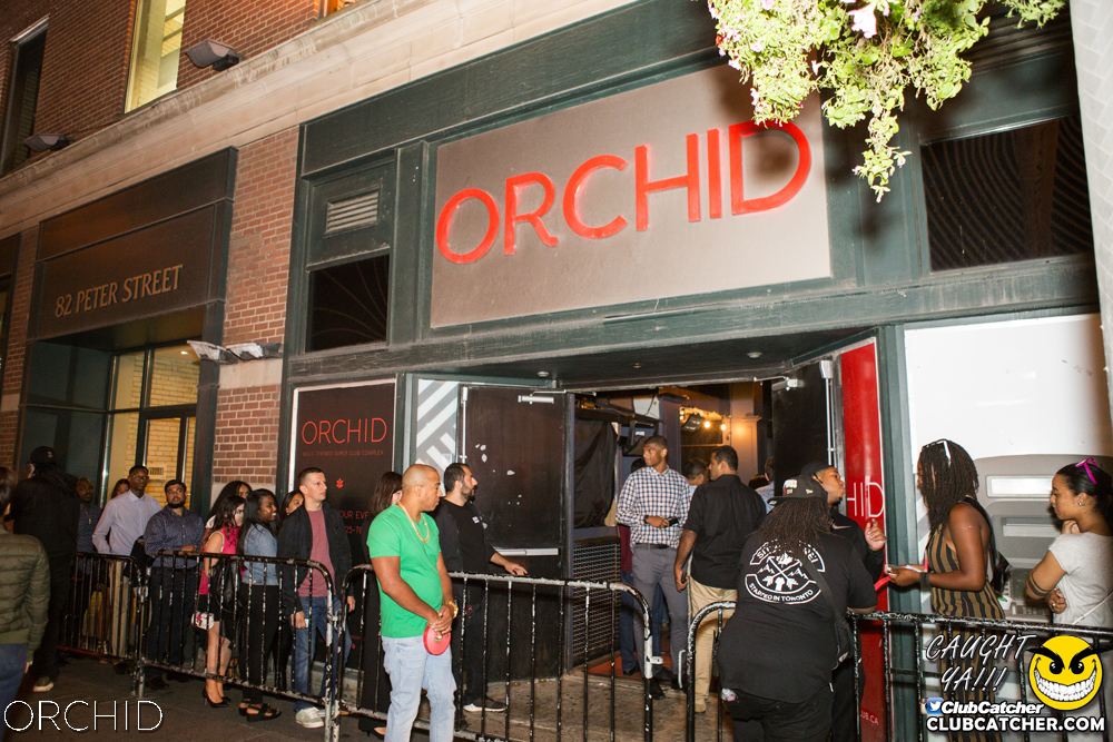 Orchid nightclub photo 14 - September 7th, 2019