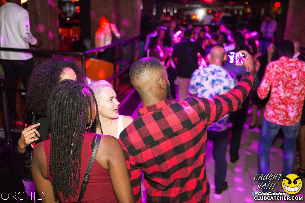 Orchid nightclub photo 16 - September 7th, 2019