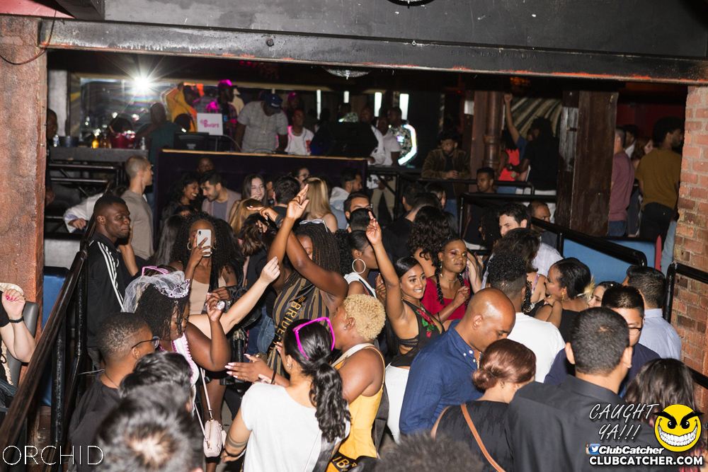 Orchid nightclub photo 17 - September 7th, 2019