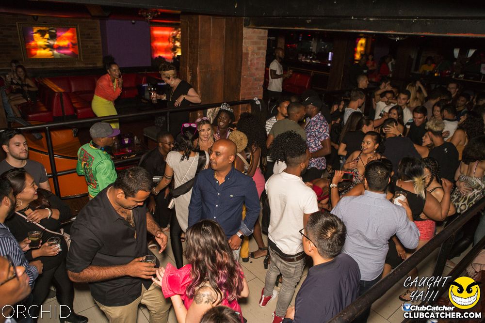 Orchid nightclub photo 26 - September 7th, 2019