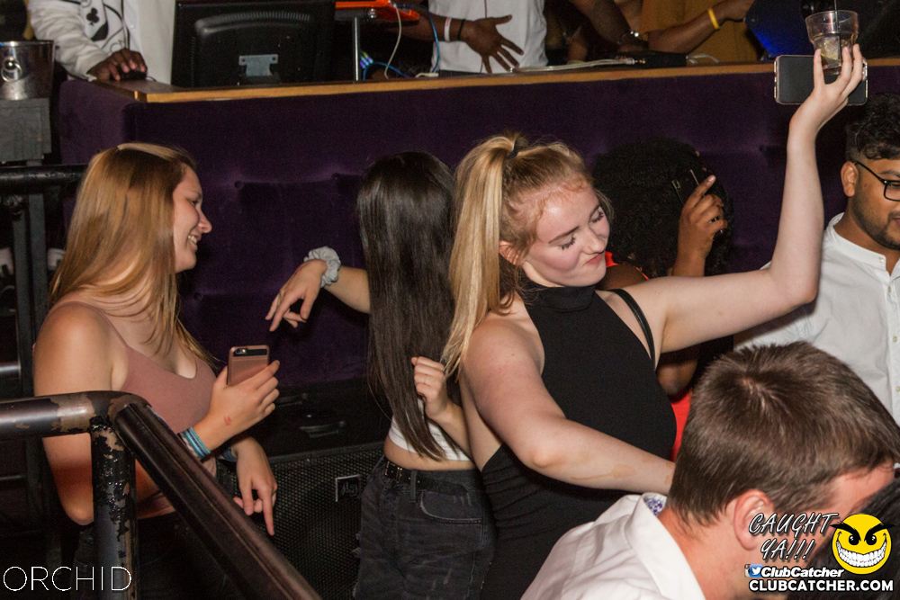 Orchid nightclub photo 27 - September 7th, 2019