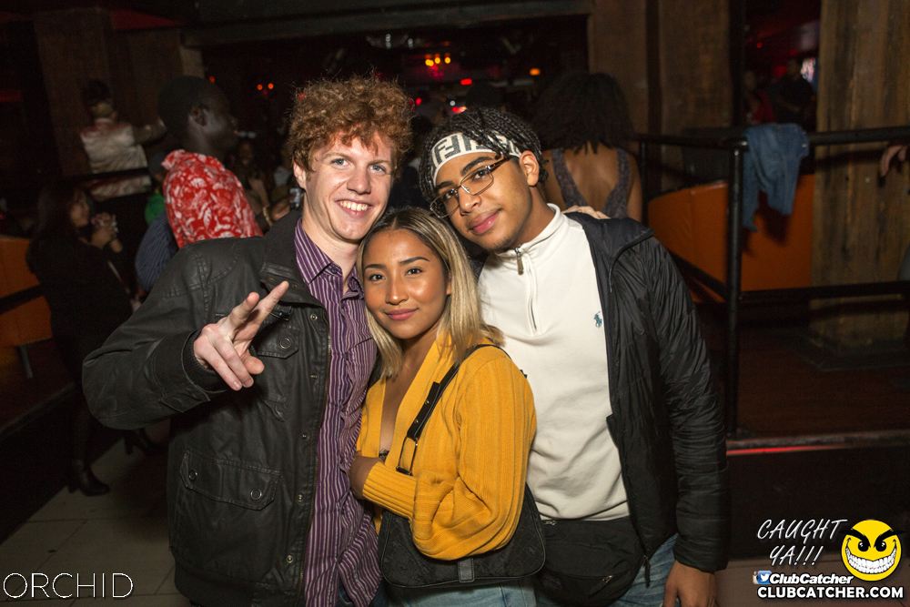 Orchid nightclub photo 29 - September 7th, 2019