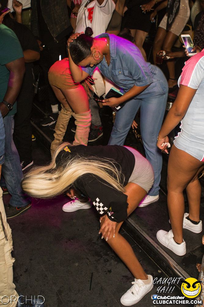 Orchid nightclub photo 30 - September 7th, 2019