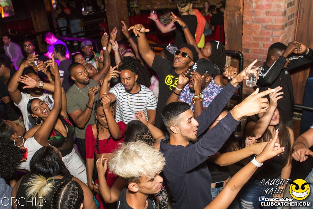 Orchid nightclub photo 32 - September 7th, 2019
