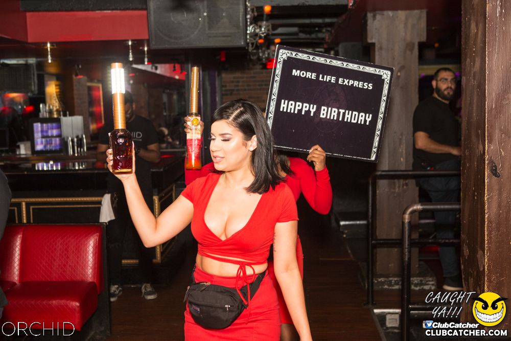 Orchid nightclub photo 33 - September 7th, 2019