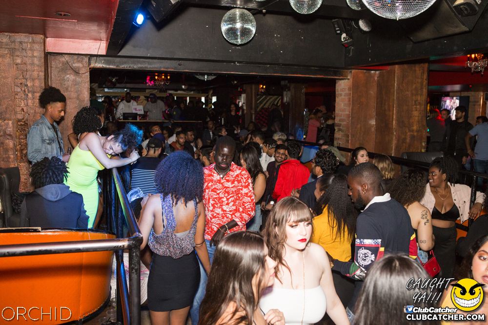 Orchid nightclub photo 34 - September 7th, 2019