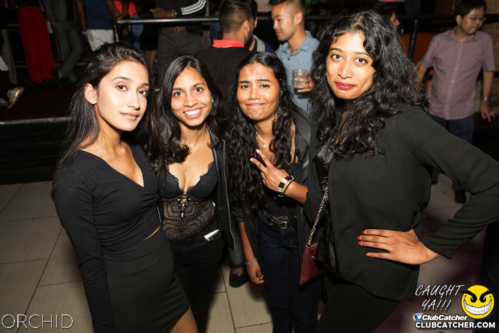 Orchid nightclub photo 36 - September 7th, 2019