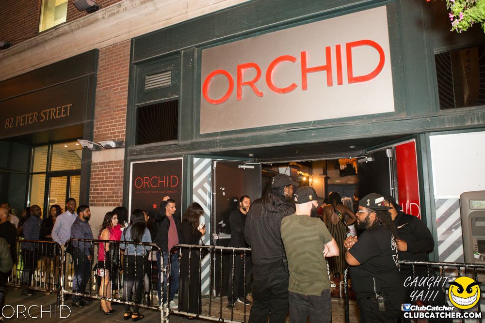 Orchid nightclub photo 37 - September 7th, 2019