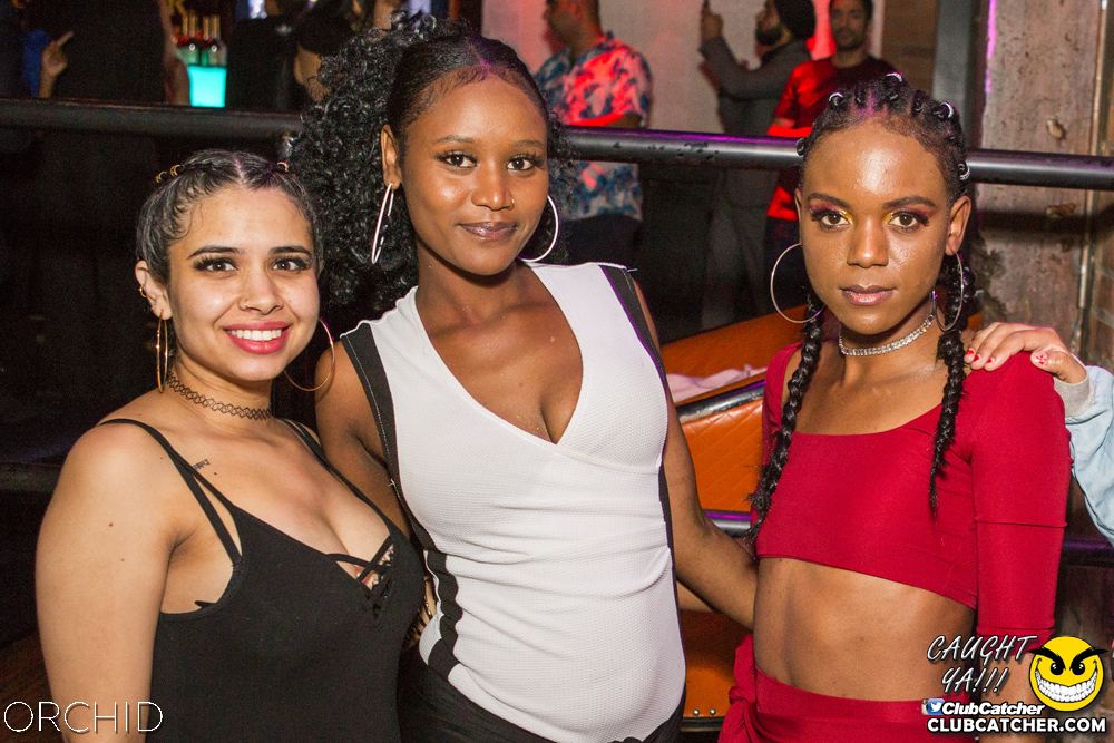 Orchid nightclub photo 38 - September 7th, 2019