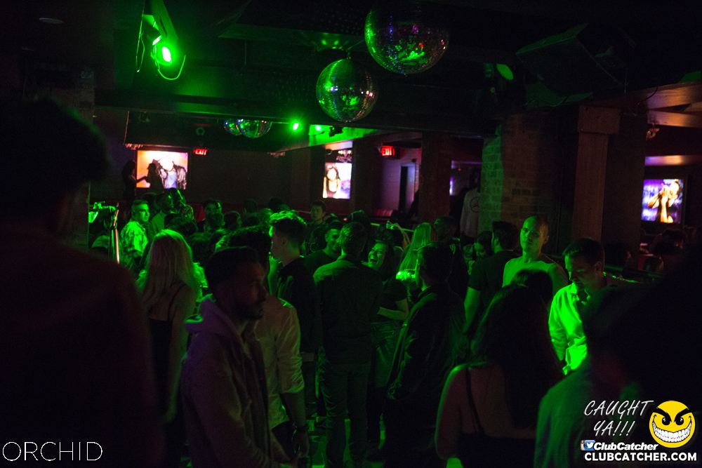 Orchid nightclub photo 39 - September 7th, 2019