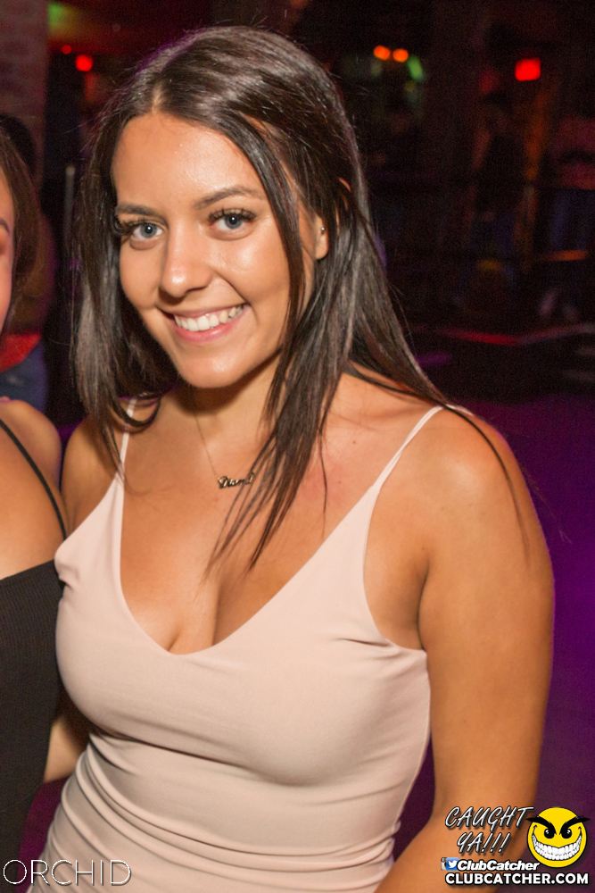 Orchid nightclub photo 47 - September 7th, 2019