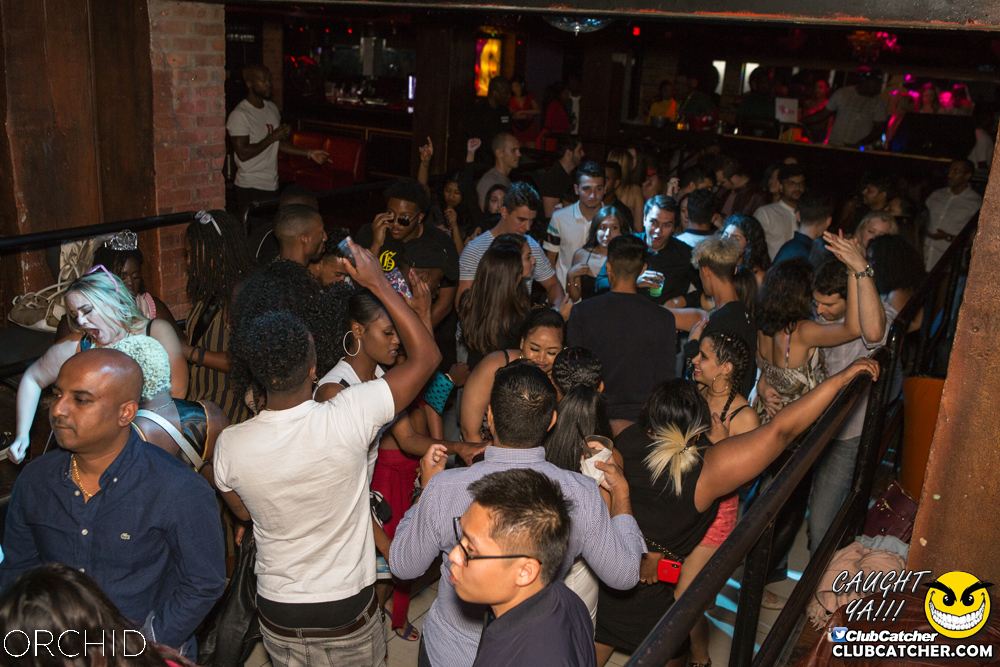 Orchid nightclub photo 53 - September 7th, 2019
