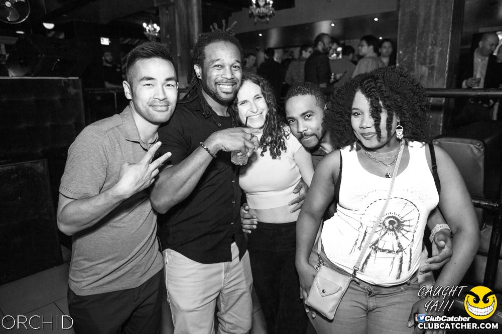 Orchid nightclub photo 54 - September 7th, 2019
